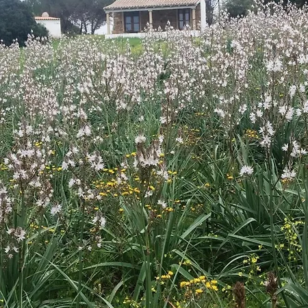 La Buredda 別荘 アリエントゥ